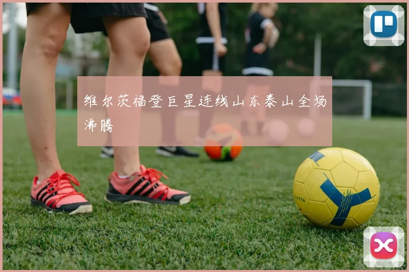 维尔茨福登巨星连线山东泰山全场沸腾