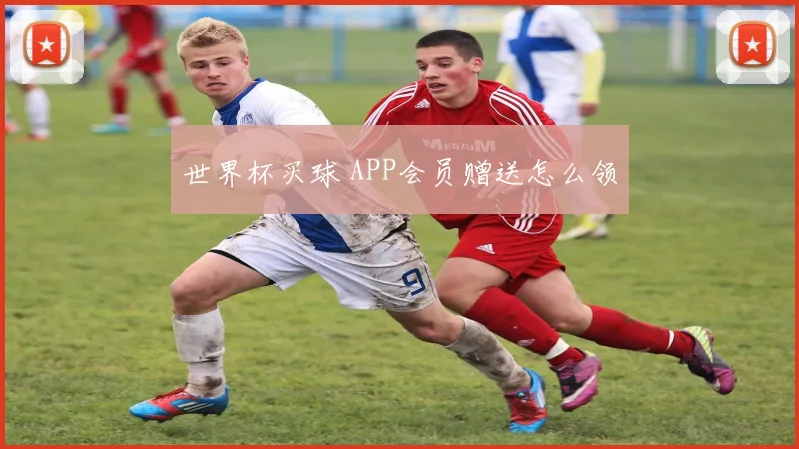 世界杯买球 APP会员赠送怎么领