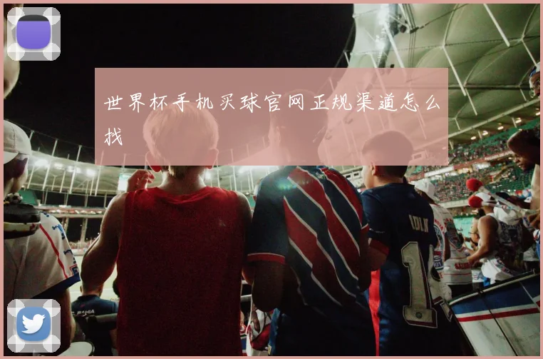 世界杯手机买球官网正规渠道怎么找