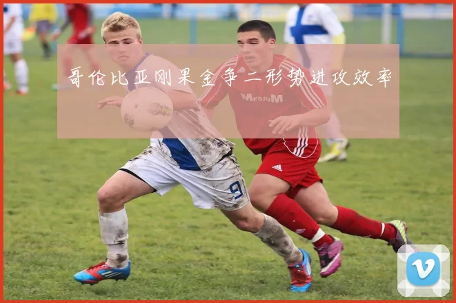 哥伦比亚刚果金争二形势进攻效率