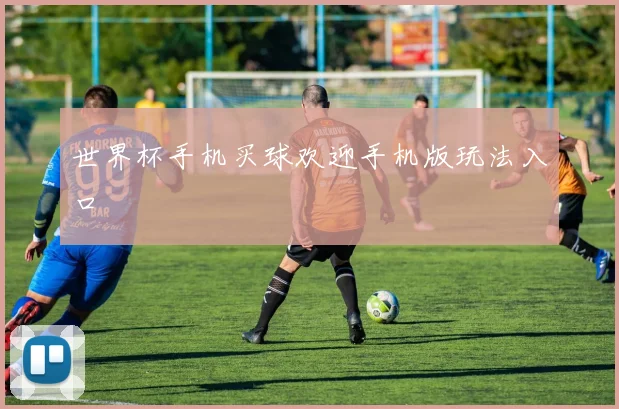 世界杯手机买球欢迎手机版玩法入口