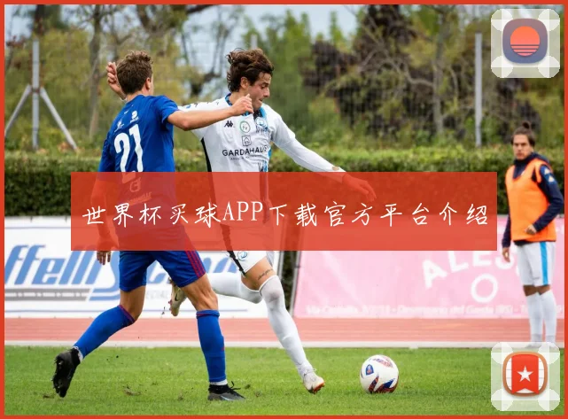 世界杯买球APP下载官方平台介绍